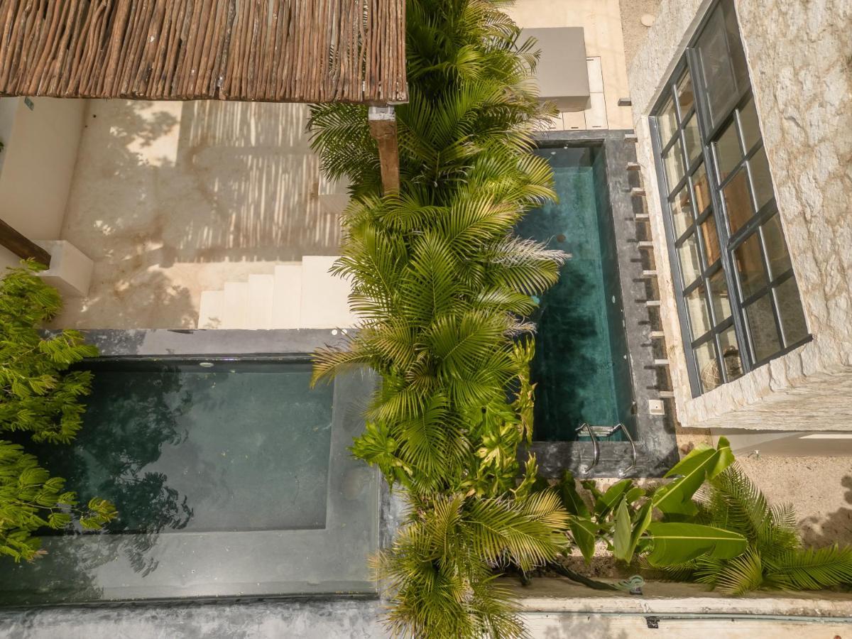 New Aura Jungle Getaway Villa Tulum Bagian luar foto