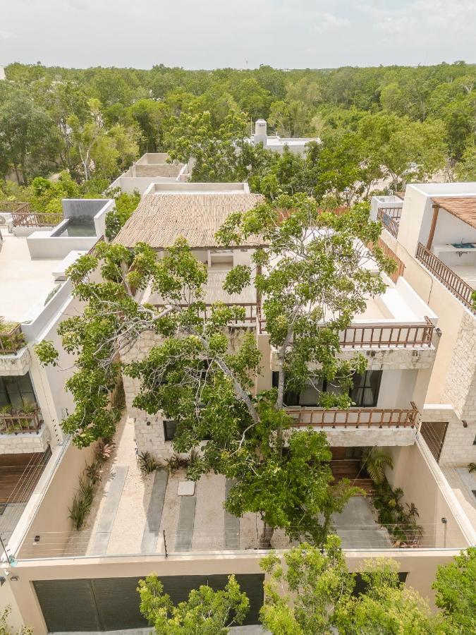 New Aura Jungle Getaway Villa Tulum Bagian luar foto